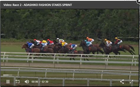 nz racing replays